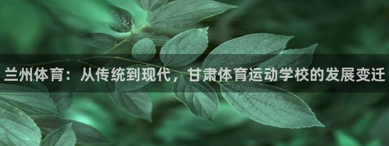 尊龙官方正版app娱乐代理怎么样：兰州体育：从传统到
