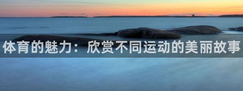 尊龙官网下载平台：体育的魅力：欣赏不同运动的美丽故事