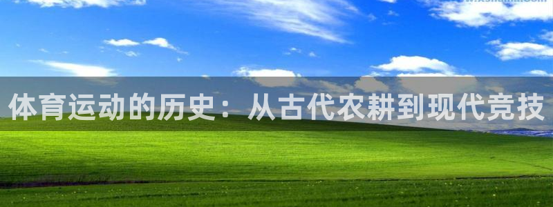 尊龙官方正版app娱乐首页官网下载：体育运动的历史：