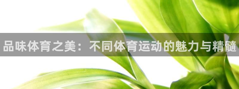 尊龙官网下载联系电话：品味体育之美：不同体育运动的魅