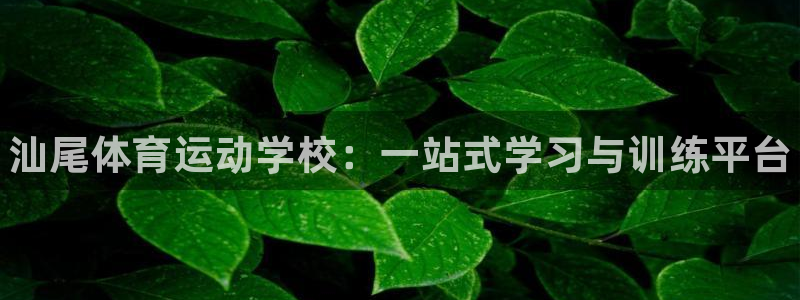尊龙官网下载平台是正规平台吗安全吗：汕尾体育运动学校