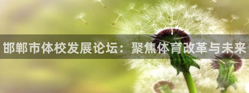 尊龙官网下载平台是正规平台吗知乎：邯郸市体校发展论坛