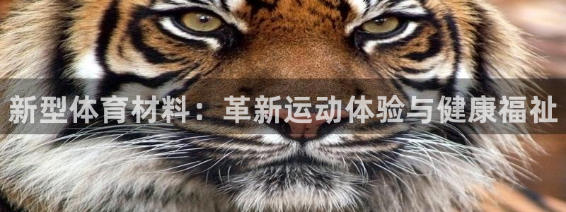 尊龙官方正版app娱乐代理怎么样：新型体育材料：革新