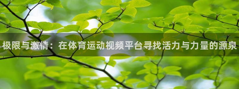 尊龙官网下载平台假的吗是真的吗：极限与激情：在体育运