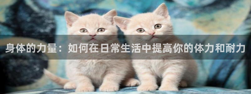 尊龙官网下载招商电话号码是多少号：身体的力量：如何在