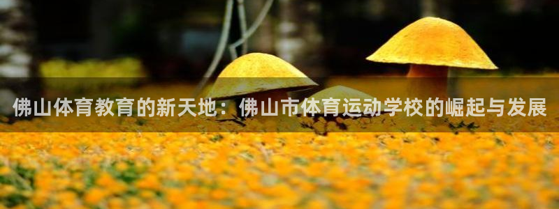 尊龙官网下载招商电话是多少：佛山体育教育的新天地：佛