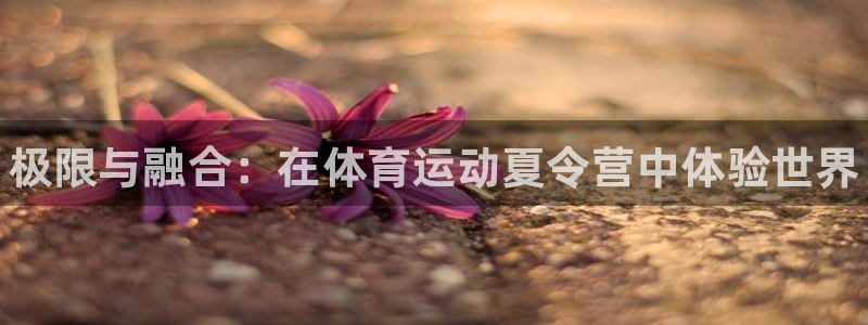 尊龙官网下载招商