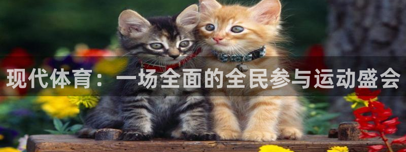 尊龙官网下载平台是正规平台吗安全吗：现代体育：一场全面的全民