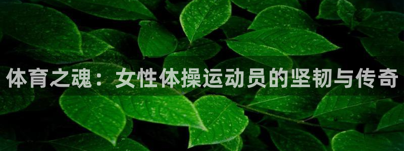 尊龙官网下载平台是正规平台吗安全吗：体育之魂：女性体操运动员