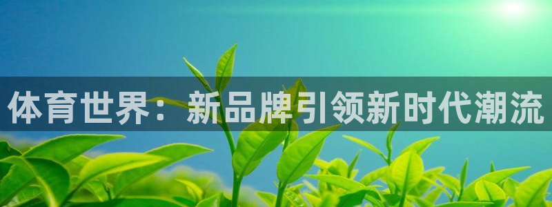 尊龙官方正版app娱乐代理怎么样：体育世界：新品牌引