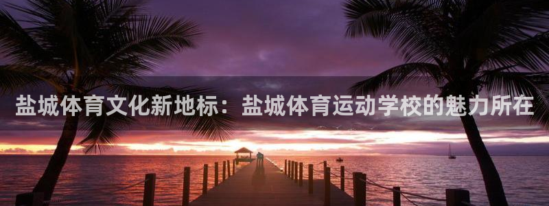 尊龙官网下载招商电话是多少啊：盐城体育文化新地标：盐城体育运