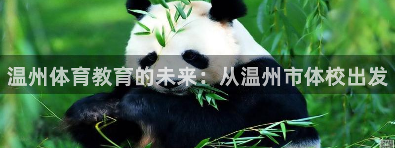 尊龙官方正版app官方：温州体育教育的未来：从温州市体校出发