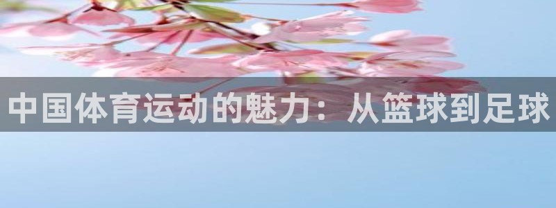 尊龙官网下载联系电话：中国体育运动的魅力：从篮球到足球