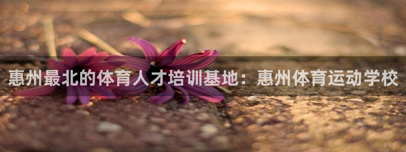 尊龙官方正版app科技