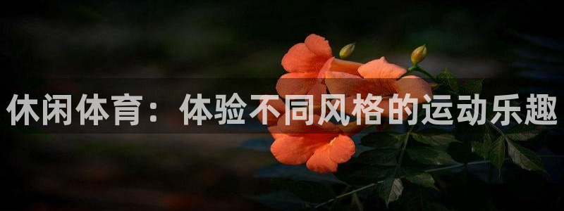 德国尊龙官方正版app集团：休闲体育：体验不同风格的运动乐趣