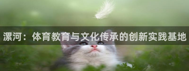 尊龙官网下载平台注册流程视频：漯河：体育教育与文化传承的创新
