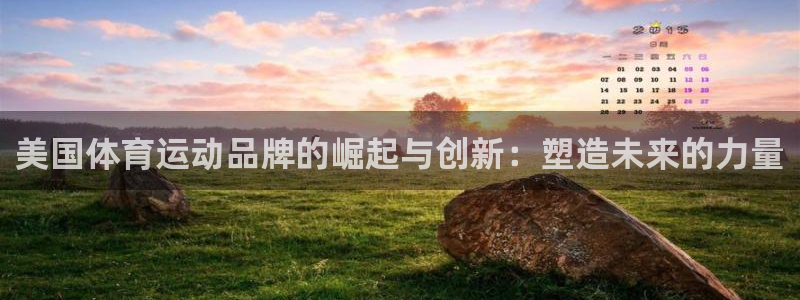 尊龙官方正版app娱乐40996：美国体育运动品牌的