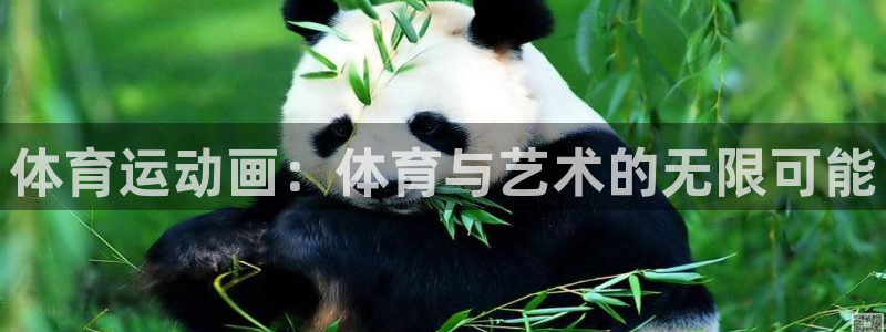 尊龙官方正版app娱乐是那个系列的台子：体育运动画：体育与艺