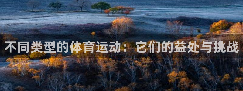 尊龙官网下载平台假的吗是真的吗吗：不同类型的体育运动：它们的