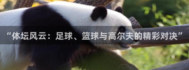 尊龙官方正版app娱乐首页官网下载