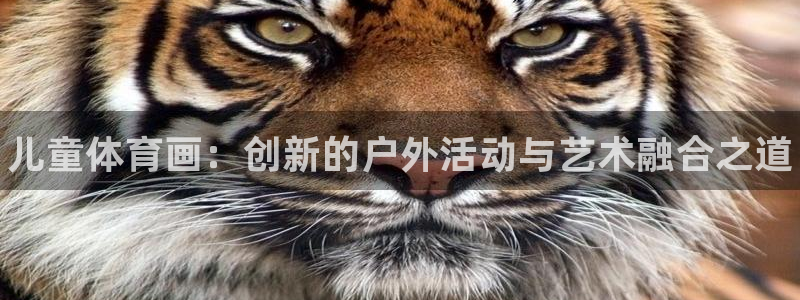 尊龙官网下载招商电话：儿童体育画：创新的户外活动与艺术融合之