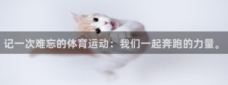 尊龙官方正版app集团官网首页