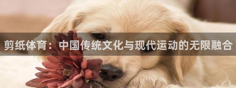 尊龙官方正版app娱乐是那个系列的台子:剪纸体育:中国传统文