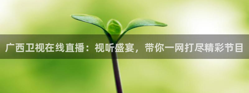 下载蓝鲸体育直播：广西卫视在线直播：视听盛宴，带你一网打尽精彩节目