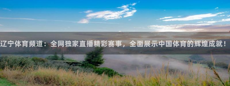 蓝鲸直播下载：辽宁体育频道：全网独家直播精彩赛事，全面展示中国体育的辉煌成就！