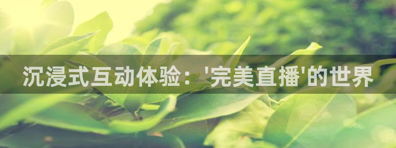 蓝鲸体育直播蓝鲸足球直播：沉浸式互动体验：\'完美直播\'的世界