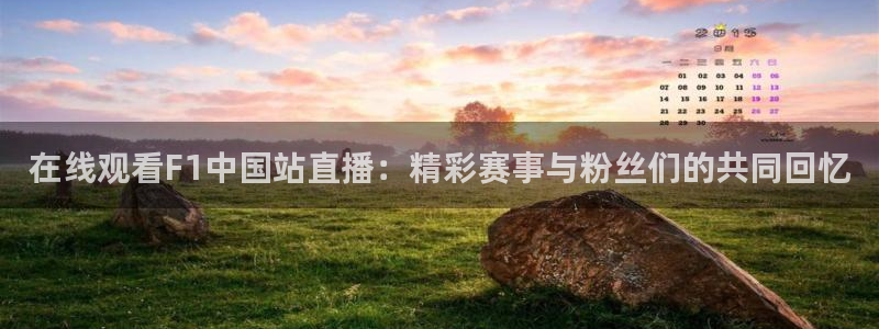 nba蓝鲸直播：在线观看F1中国站直播：精彩赛事与粉丝们的共同回忆