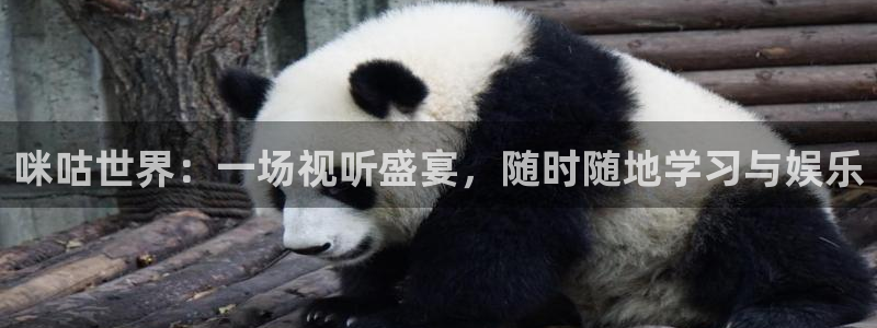 蓝鲸体育直播在线观看：咪咕世界：一场视听盛宴，随时随地学习与娱乐