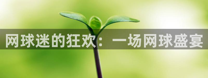 蓝鲸体育免费观看：网球迷的狂欢：一场网球盛宴