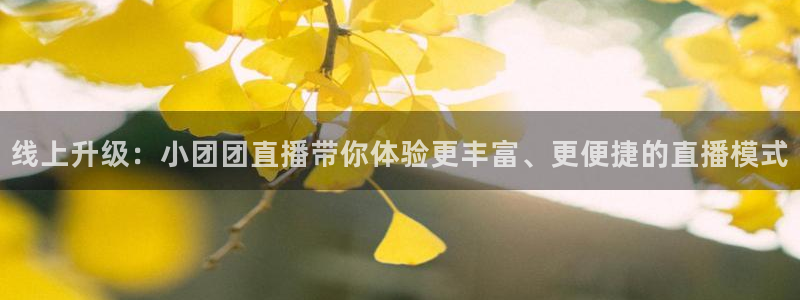 蓝鲸直播体育app：线上升级：小团团直播带你体验更丰富、更便捷的直播模式