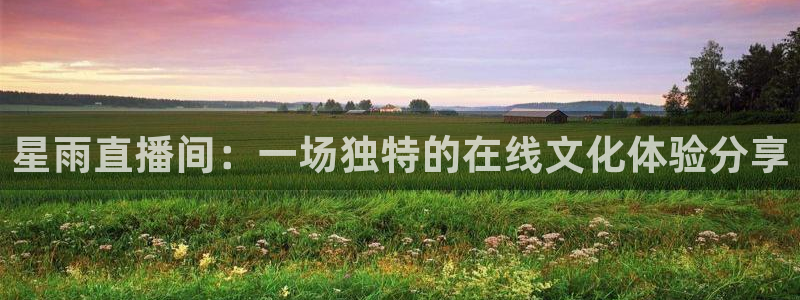 蓝鲸直播 安卓：星雨直播间：一场独特的在线文化体验分享