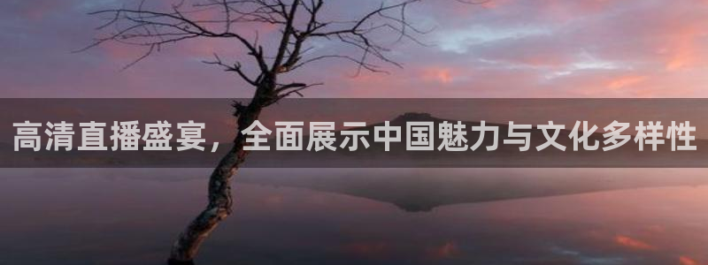 蓝鲸体育直播手机版下载：高清直播盛宴，全面展示中国魅力与文化多样性