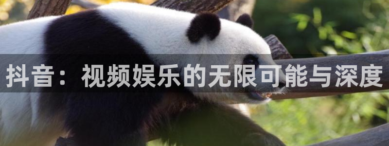 蓝鲸鱼直播：抖音：视频娱乐的无限可能与深度