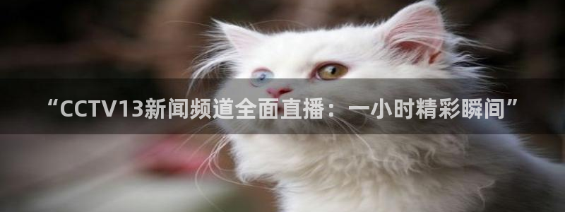 蓝鲸体育直播app免费：“CCTV13新闻频道全面直播：一小时精彩瞬间”