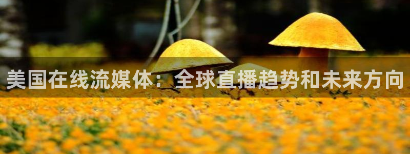 蓝鲸fm直播：美国在线流媒体：全球直播趋势和未来方向