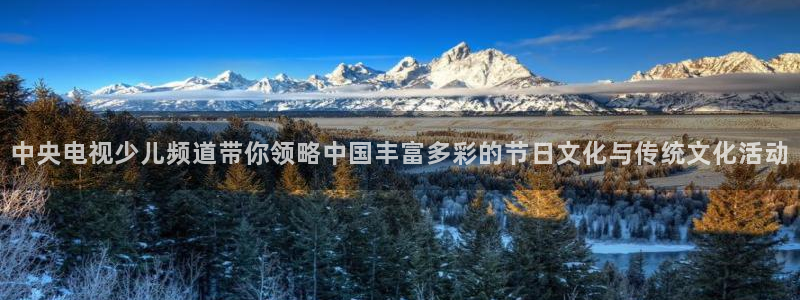 蓝鲸体育直播在线观看免费高清：中央电视少儿频道带你领略中国丰富多彩的节日文化与传统文化活动